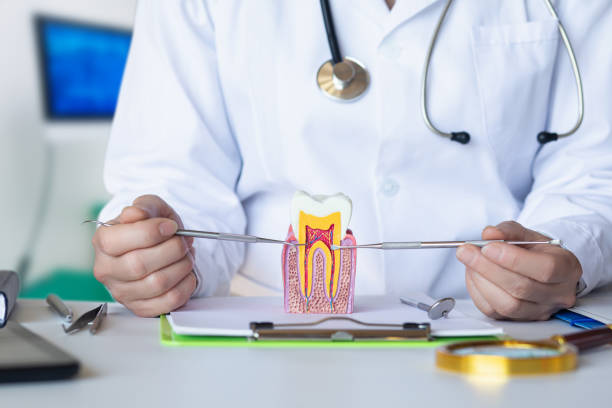 Best Broken Tooth Emergency  in Walcott, IA